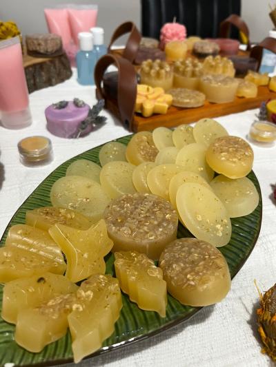 Sindicato Rural de Laranjeiras do Sul oferece curso gratuito sobre Artesanato com Produtos Apícolas 